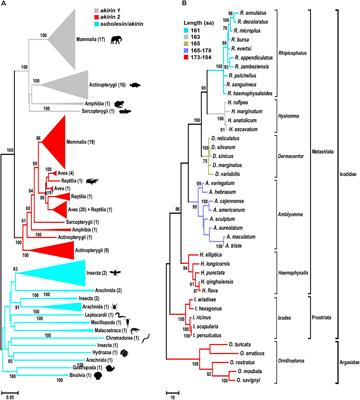 Functional Evolution of Subolesin/Akirin